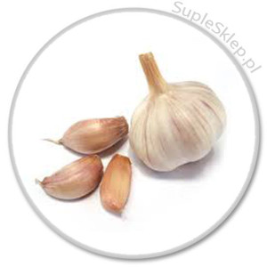 cholestone-czosnek-garlic caps-cholesterol-obniżanie cholesterolu